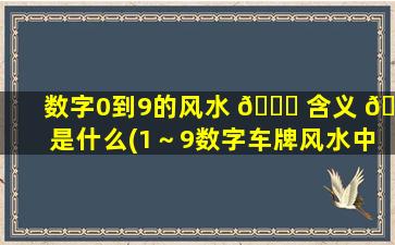 数字0到9的风水 🐝 含义 🐳 是什么(1～9数字车牌风水中的含义)